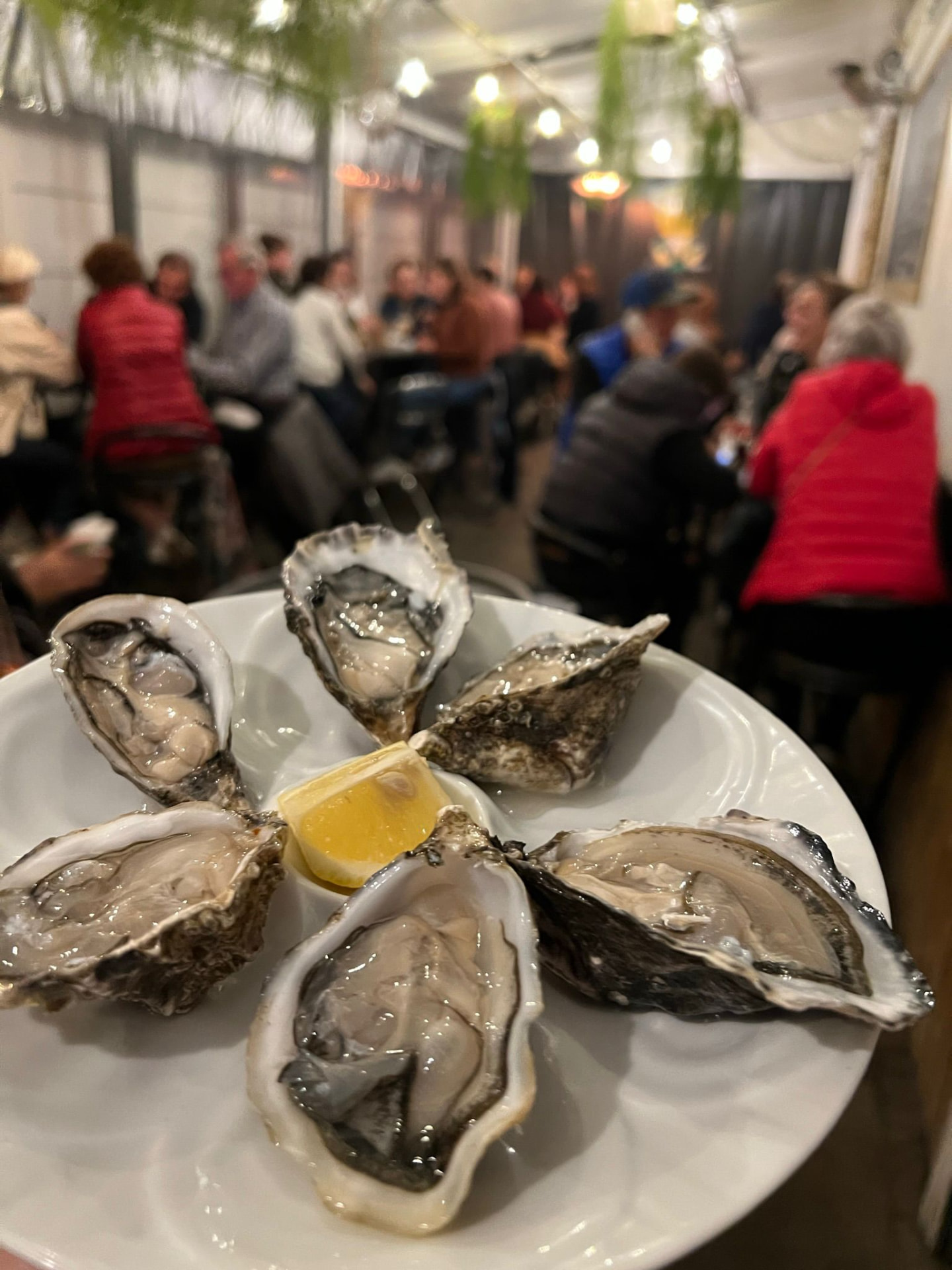 Bord verse oesters met citroen